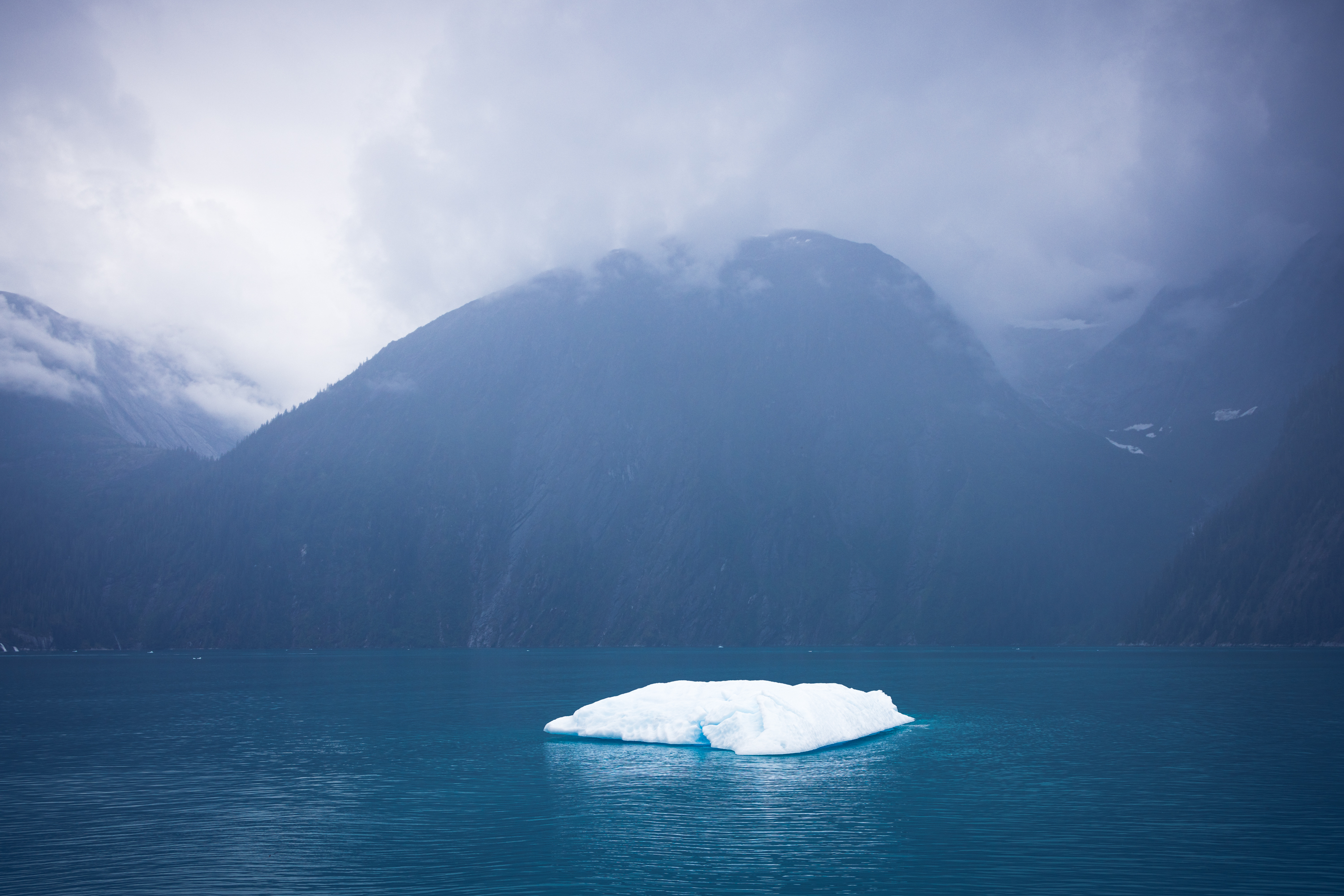 Iceberg in Tracy Arm fjord, Alaska 2023